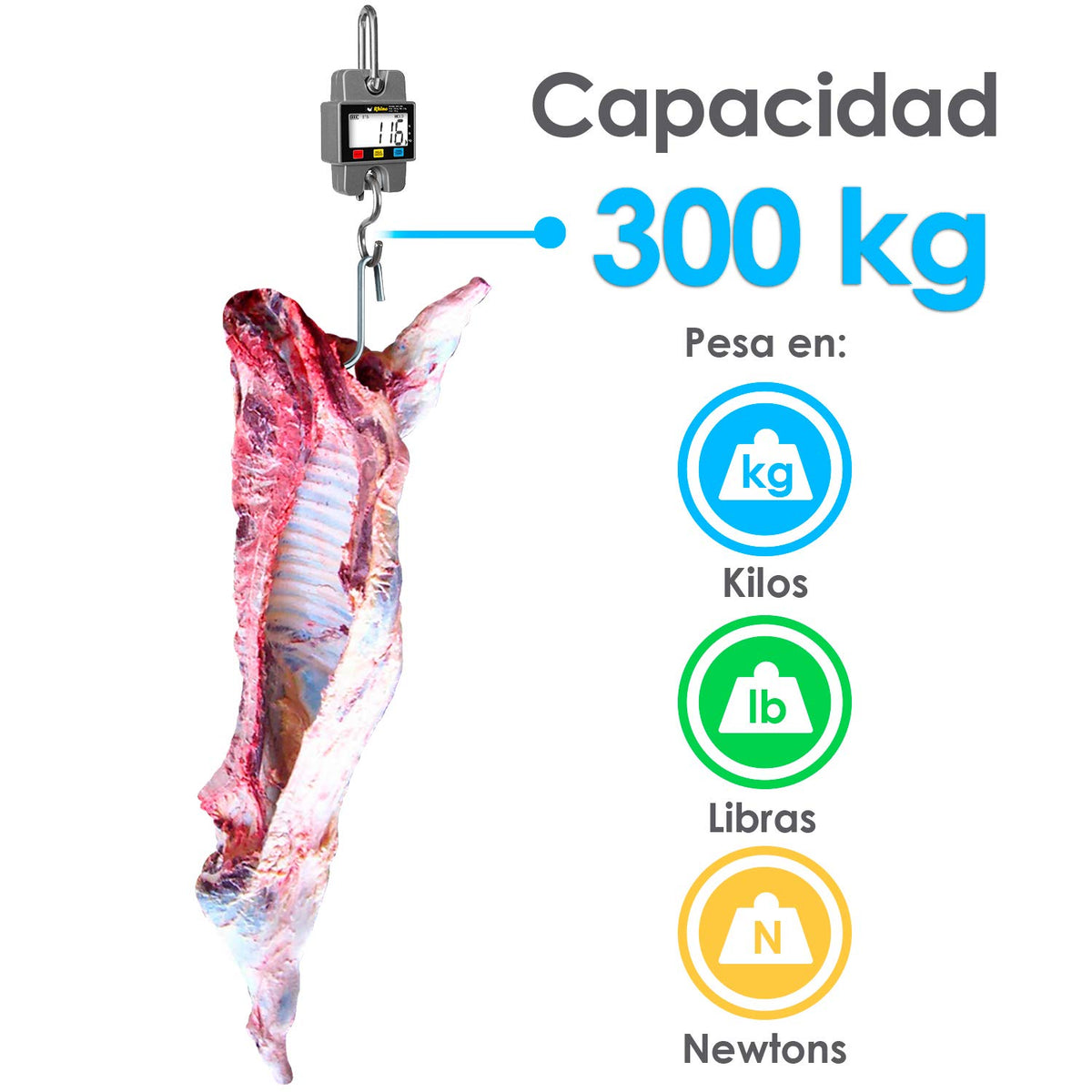 Báscula colgante 300 kg / 100 g | Rhino | Bac-300