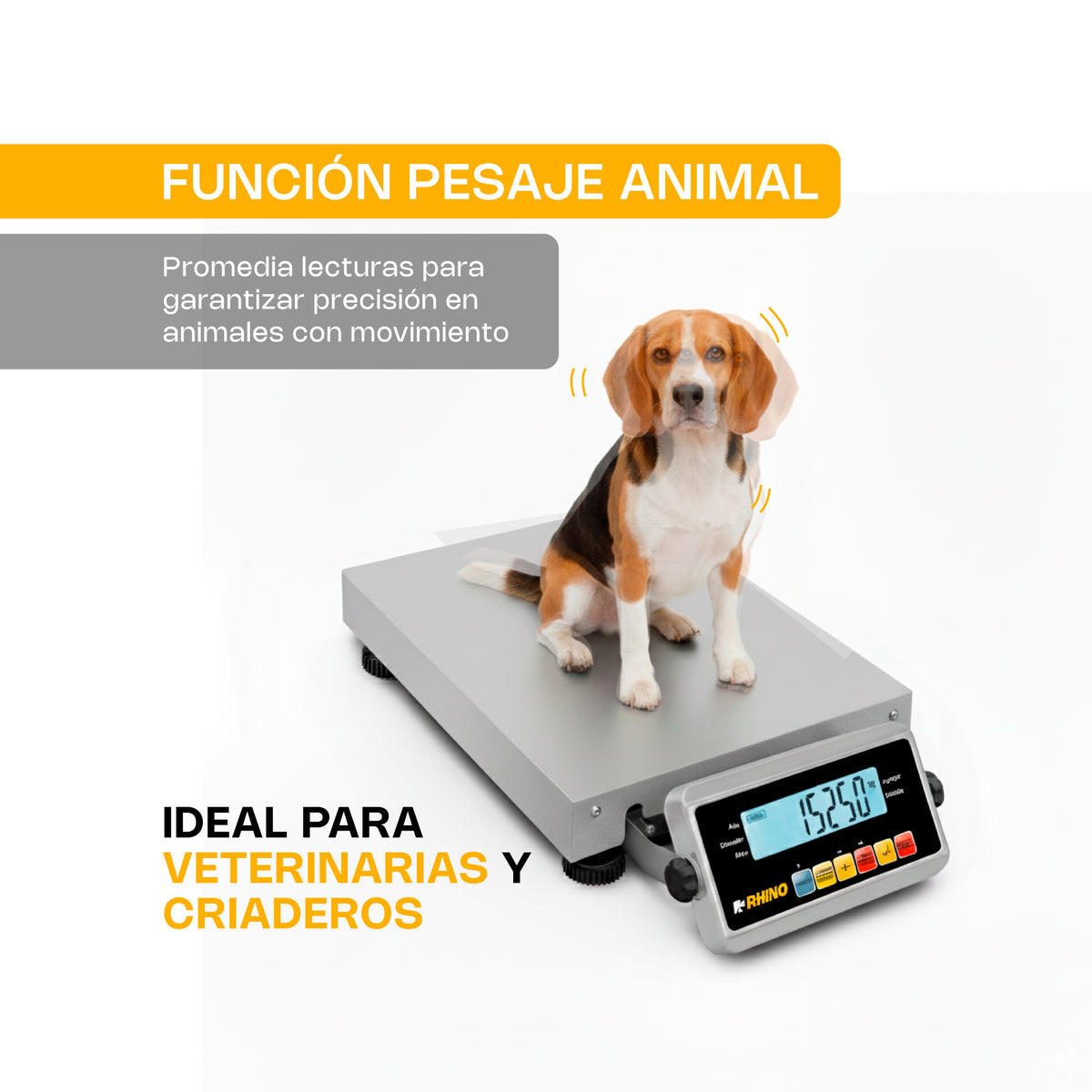 Báscula de paquetería 150 kg / 50 g | Rhino | Bapaque-150