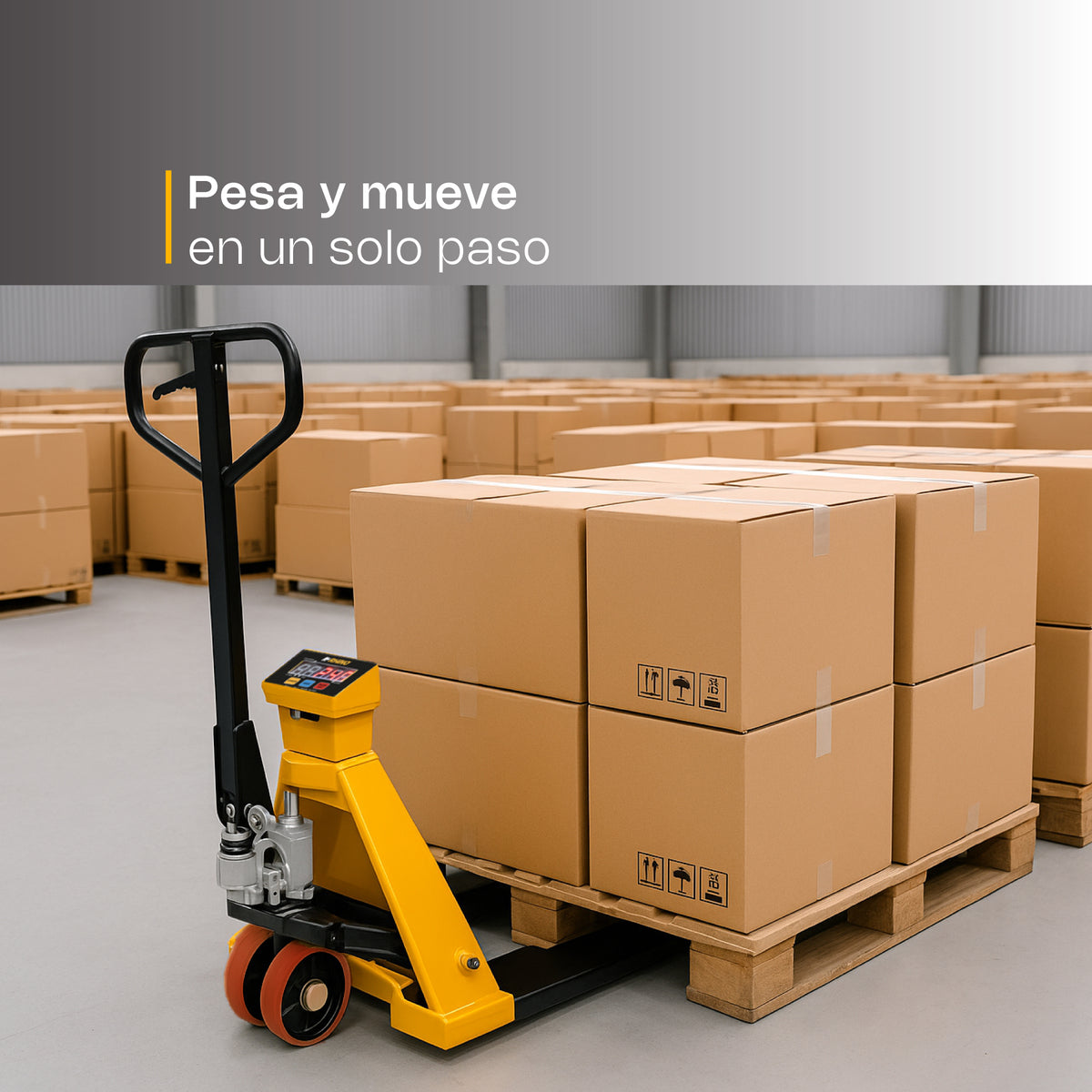 Báscula de patín, 2 T / 500 g, pantalla LED | Rhino | Bapat-2t
