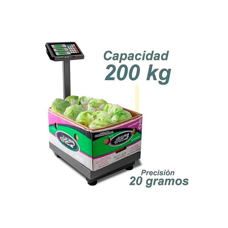 Báscula Plataforma | Plataforma De Acero Al Carbono | Plataforma 40 X 50 Cm | 200 Kg / División 20 G | Uso Comercial | BAPCA-200 | RHINO