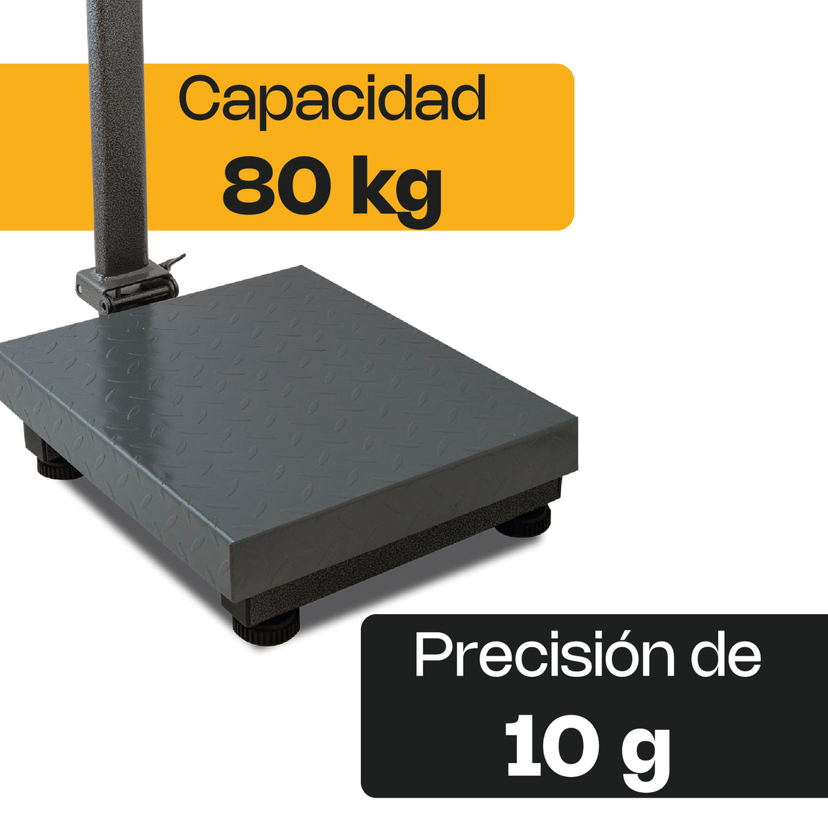 Báscula Plataforma | Plataforma De Acero Al Carbono | Plataforma Plegable | 80 Kg / División 10 G | Uso Comercial | BAPCA-80 | RHINO