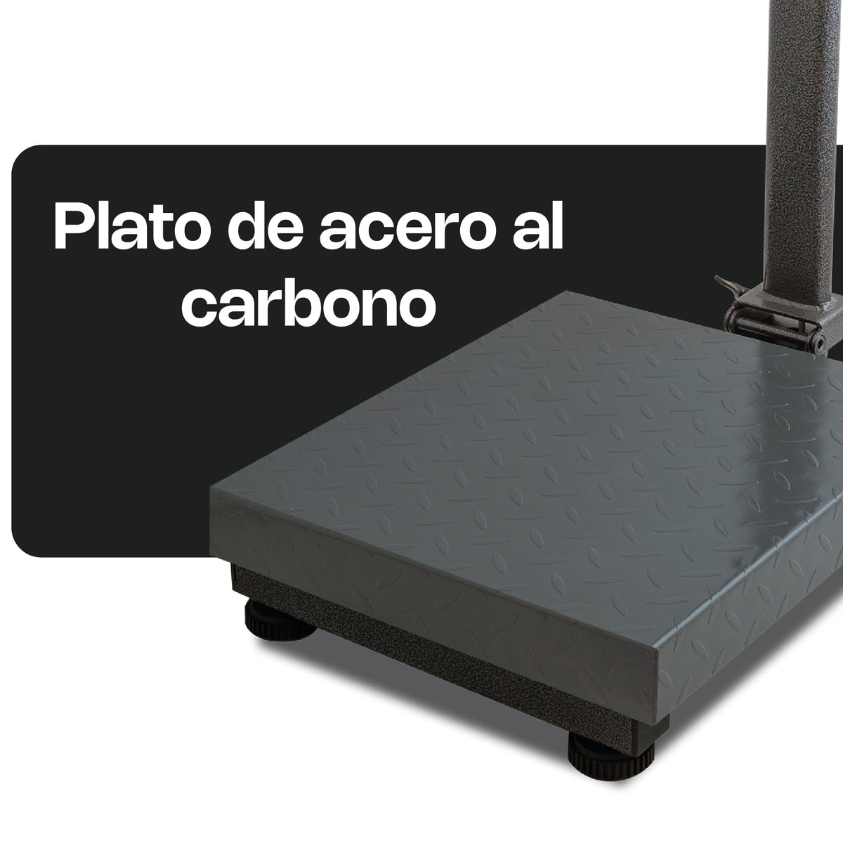 Báscula Plataforma | Plataforma De Acero Al Carbono | Plataforma Plegable | 80 Kg / División 10 G | Uso Comercial | BAPCA-80 | RHINO