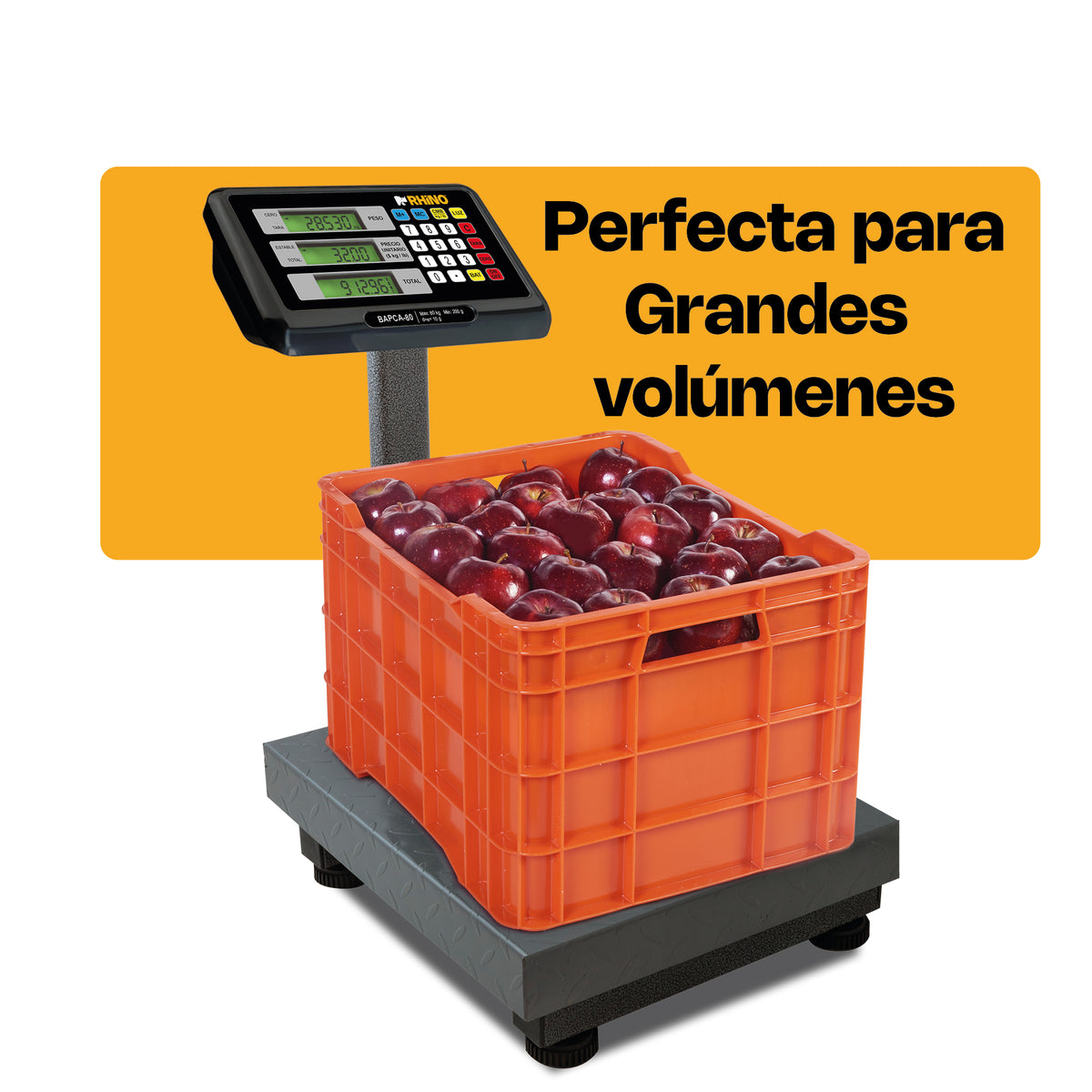Báscula Plataforma | Plataforma De Acero Al Carbono | Plataforma Plegable | 80 Kg / División 10 G | Uso Comercial | BAPCA-80 | RHINO