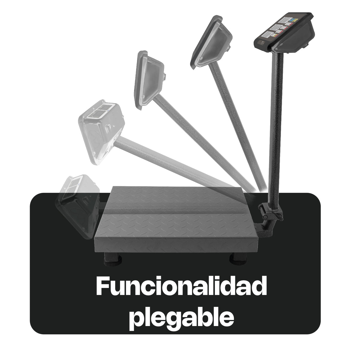 Báscula Plataforma | Plataforma De Acero Al Carbono | Plataforma Plegable | 80 Kg / División 10 G | Uso Comercial | BAPCA-80 | RHINO