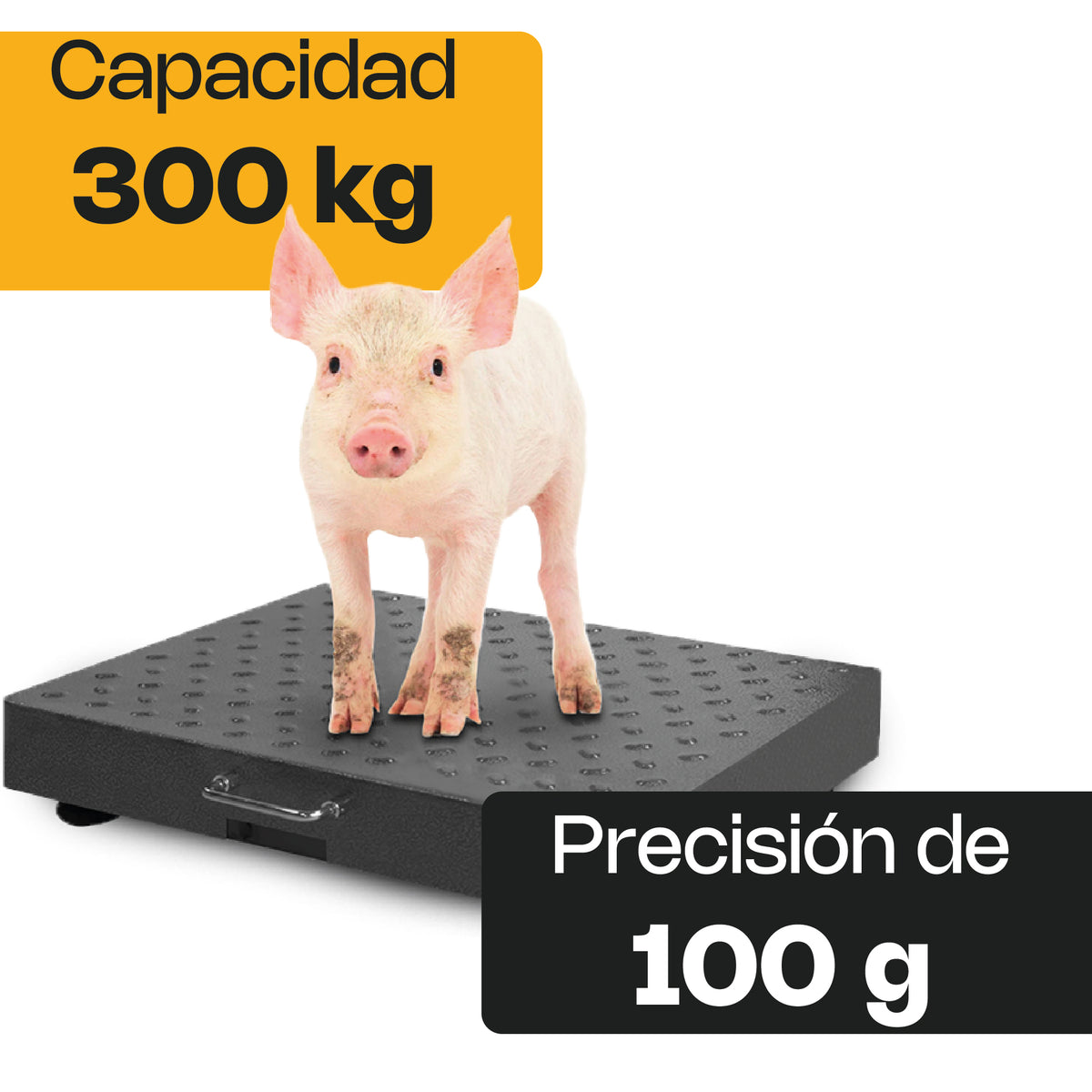 Báscula 300 kg / 100 g, plataforma de acero | Rhino | Bapic-300