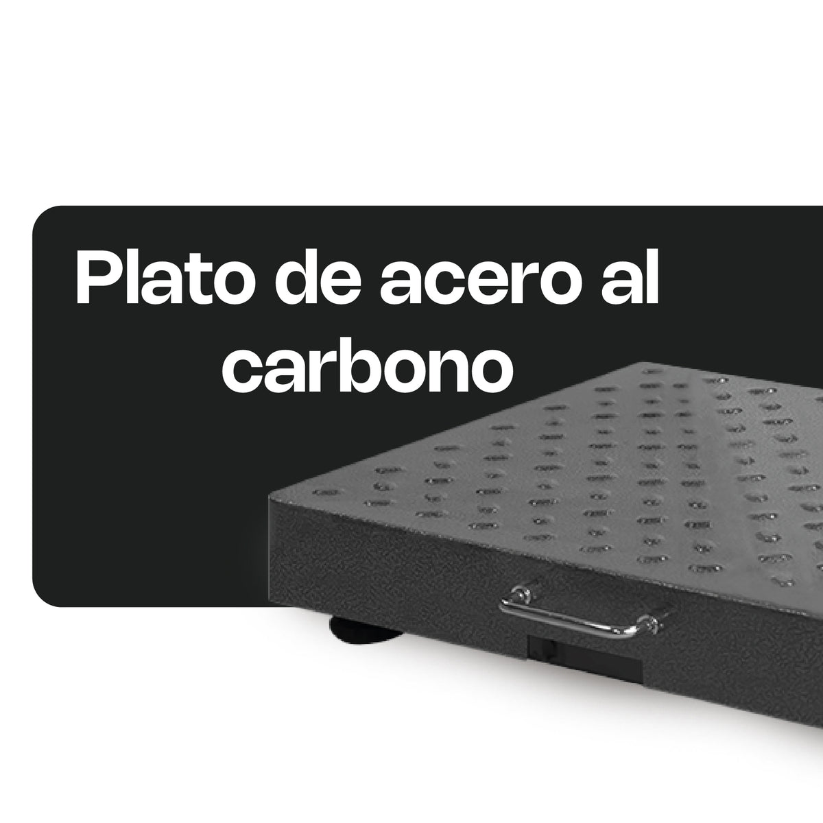 Báscula 300 kg / 100 g, plataforma de acero | Rhino | Bapic-300