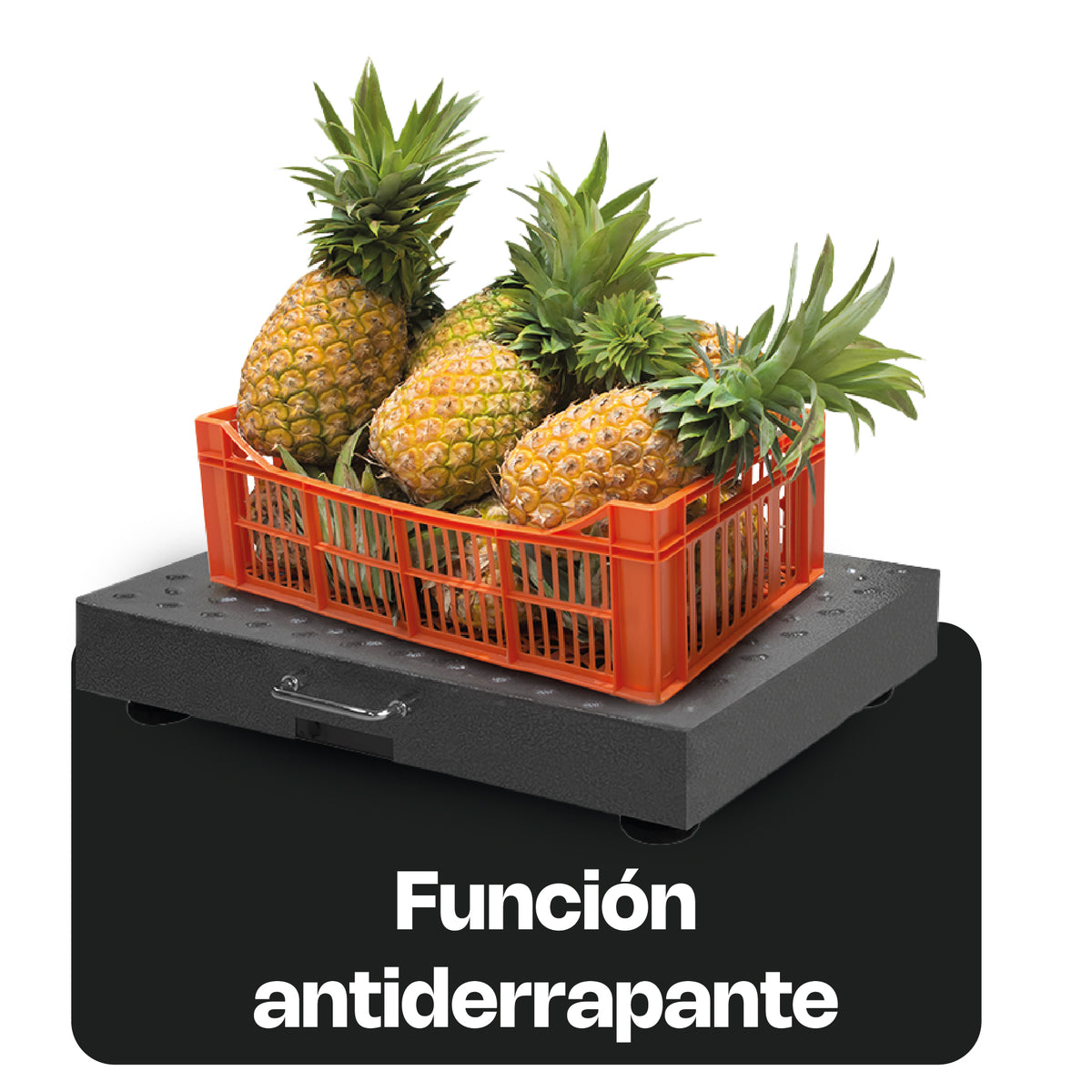 Báscula 300 kg / 100 g, plataforma de acero | Rhino | Bapic-300