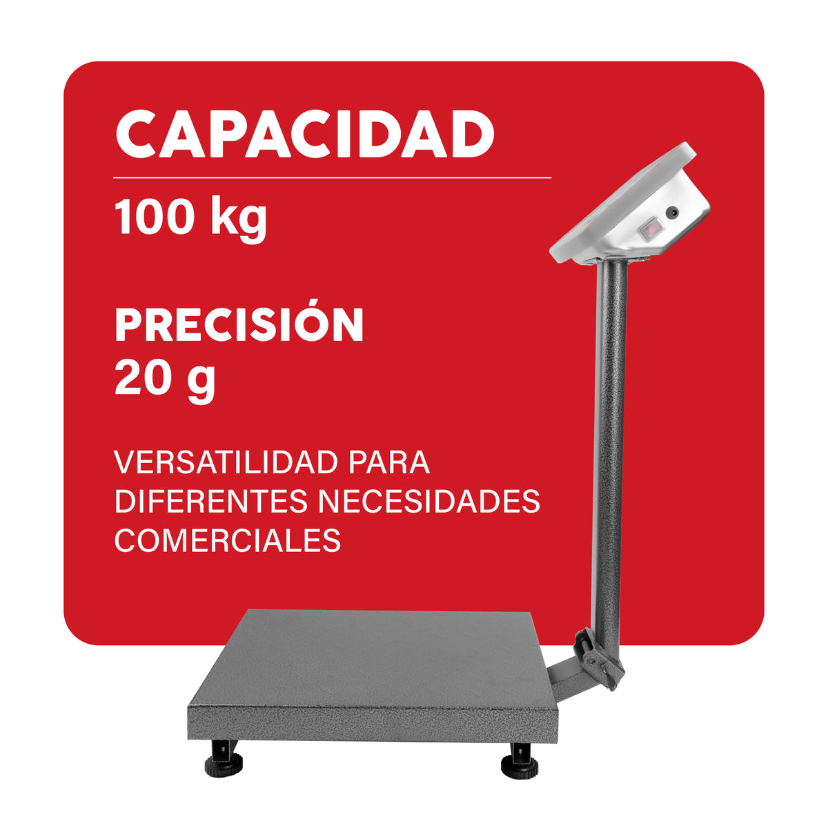Báscula de plataforma 100 kg / 20 g | Rhino | Baple-100