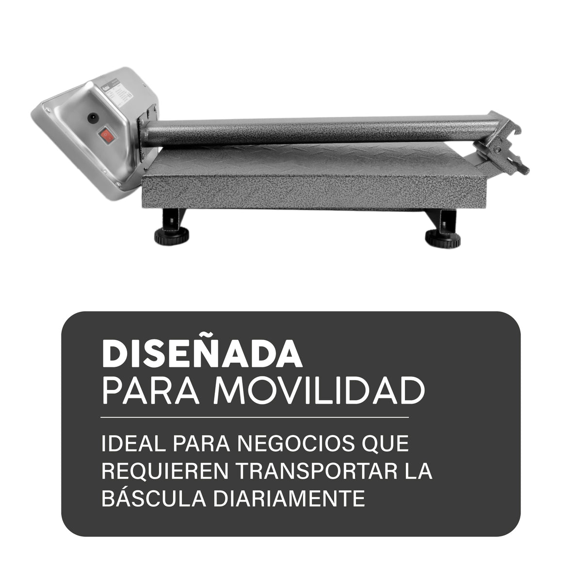 Báscula de plataforma 100 kg / 20 g | Rhino | Baple-100