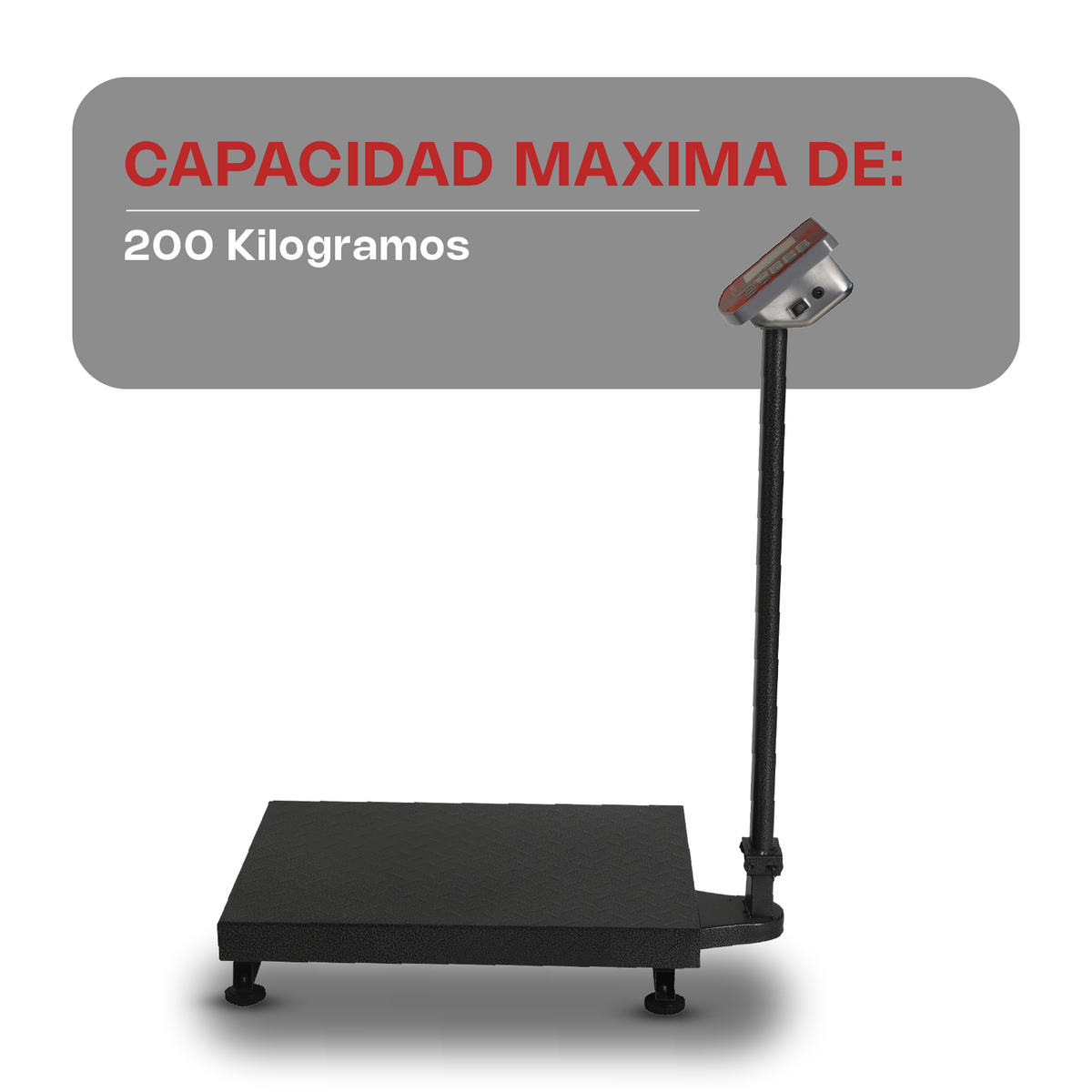 Báscula de plataforma 200 kg / 50 g | Rhino | Baple-200