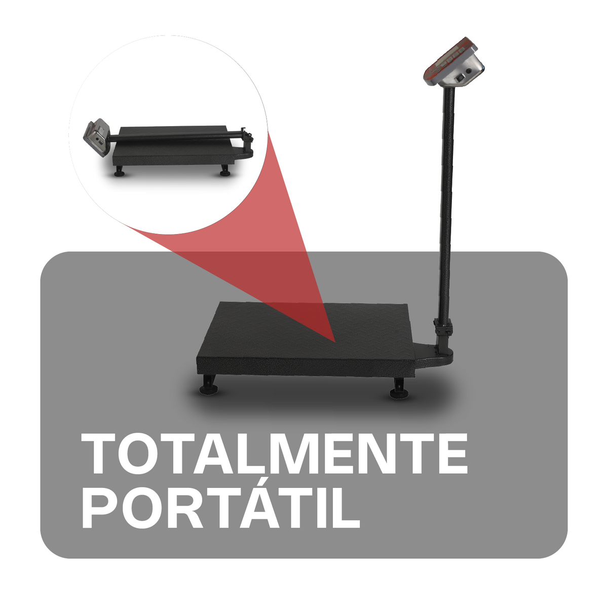Báscula de plataforma 200 kg / 50 g | Rhino | Baple-200