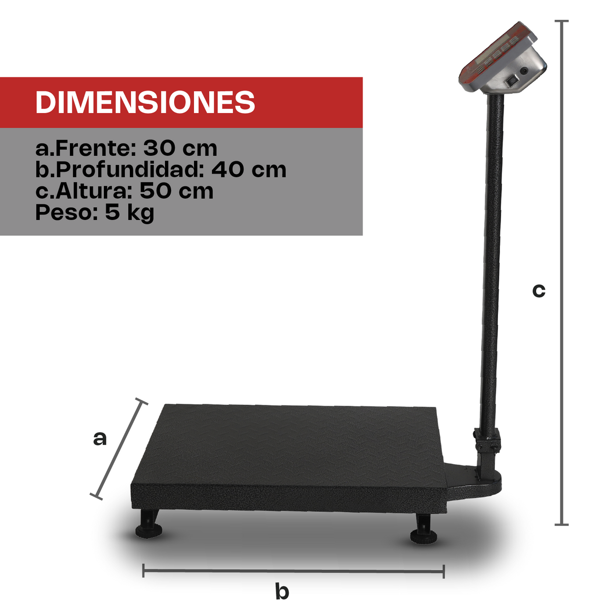 Báscula de plataforma 200 kg / 50 g | Rhino | Baple-200