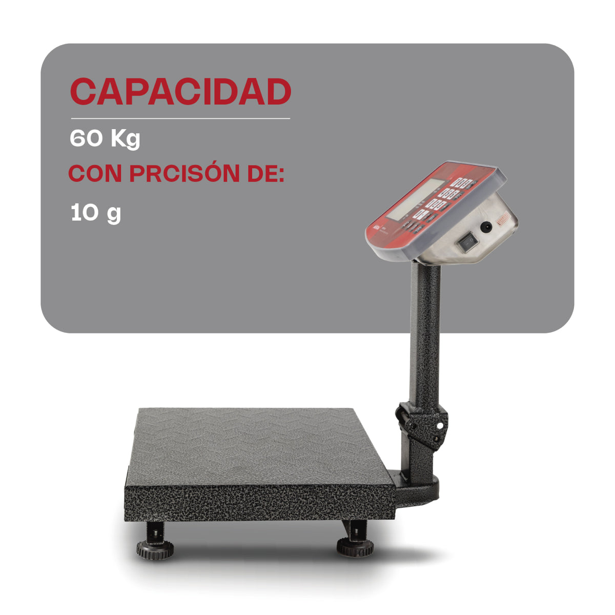 Báscula de plataforma 60 kg / 10 g | Rhino | Baple-60