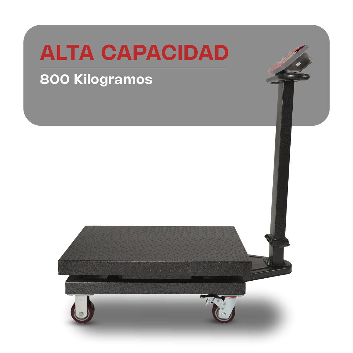 Báscula de plataforma 800 kg / 500 g | Rhino | Baple-800