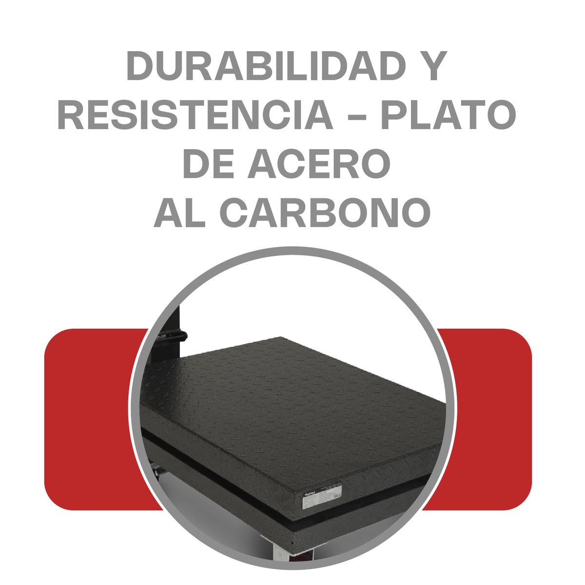 Báscula de plataforma 800 kg / 500 g | Rhino | Baple-800