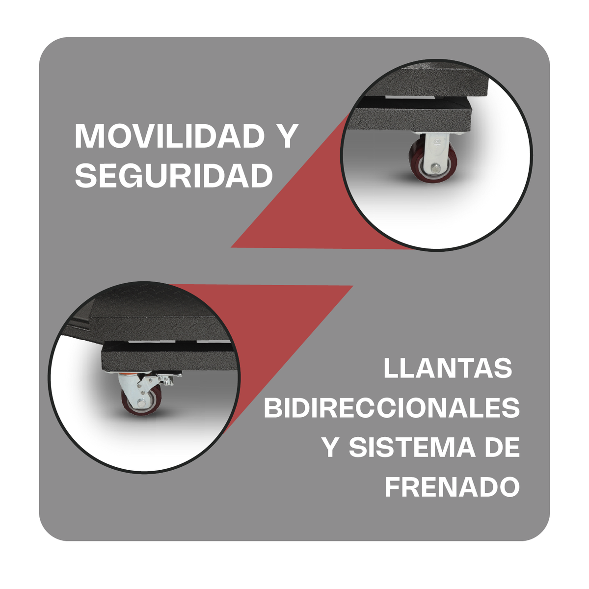 Báscula de plataforma 800 kg / 500 g | Rhino | Baple-800