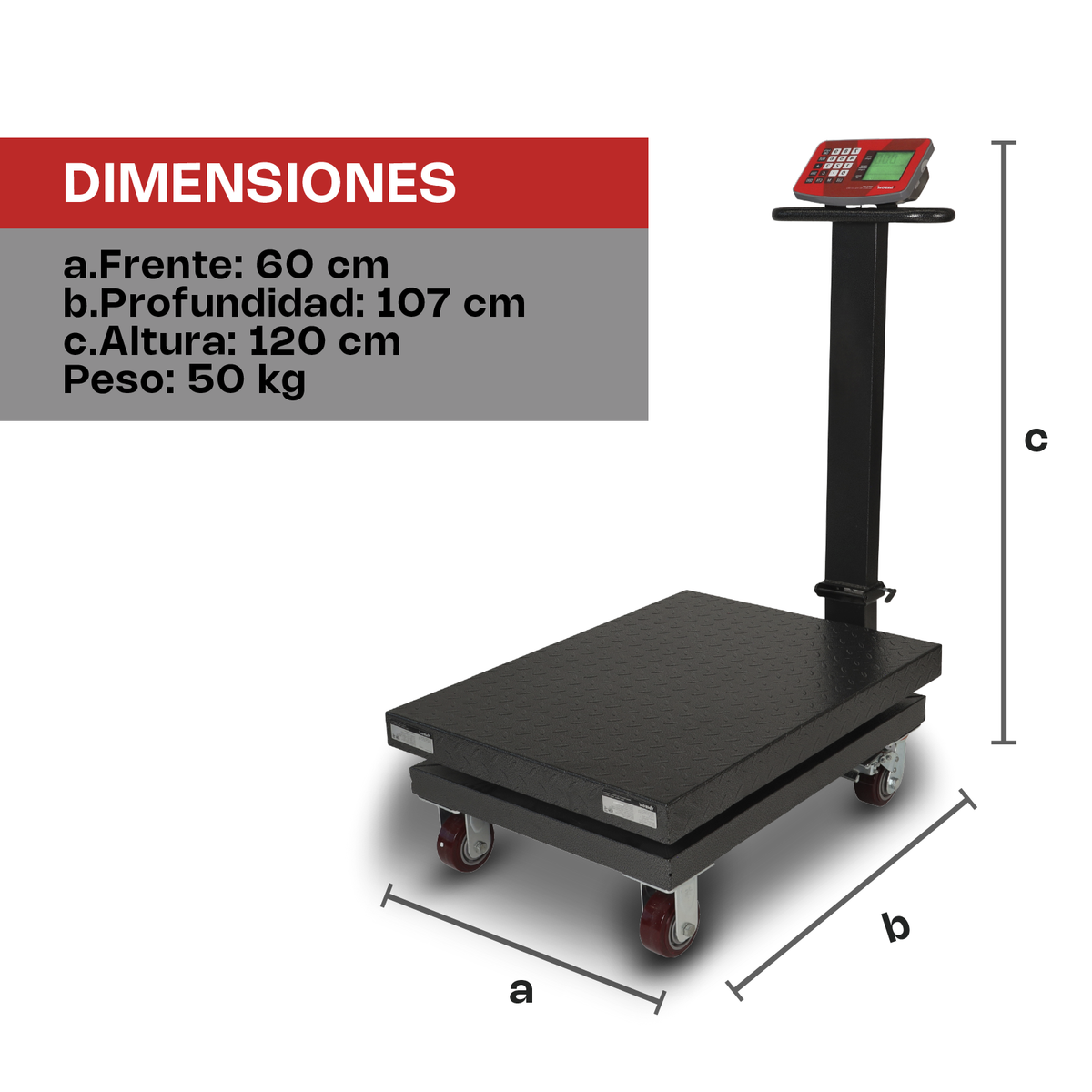 Báscula de plataforma 800 kg / 500 g | Rhino | Baple-800