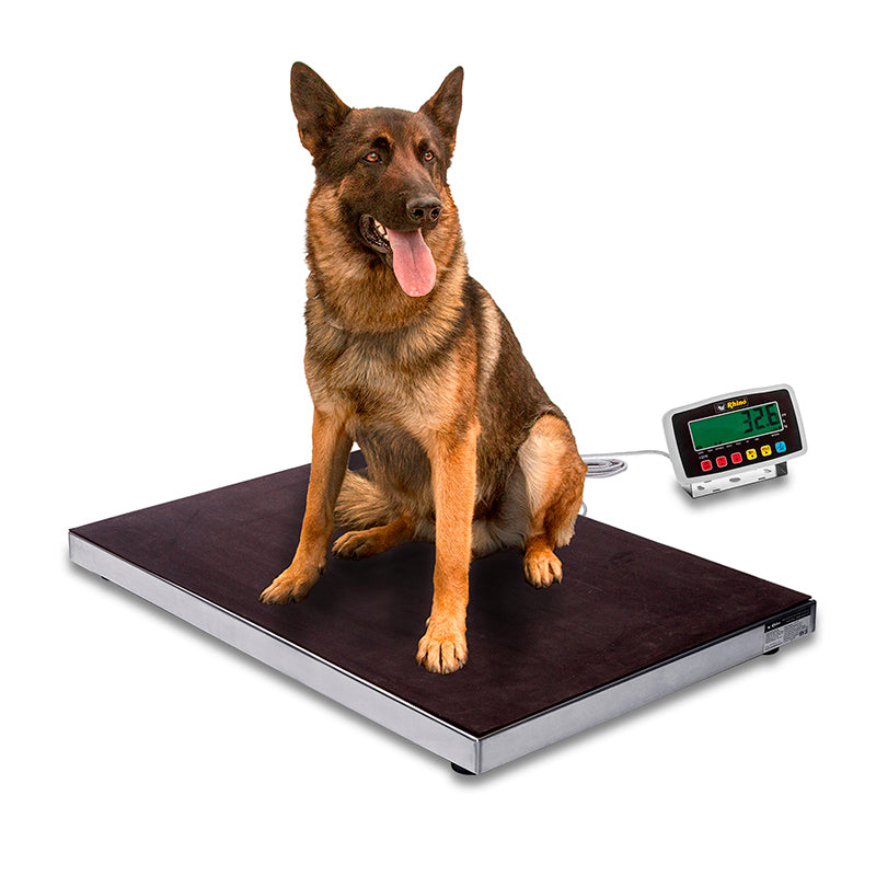 Báscula de plataforma 200 kg / 100 g, acero | Rhino | Bavet-200