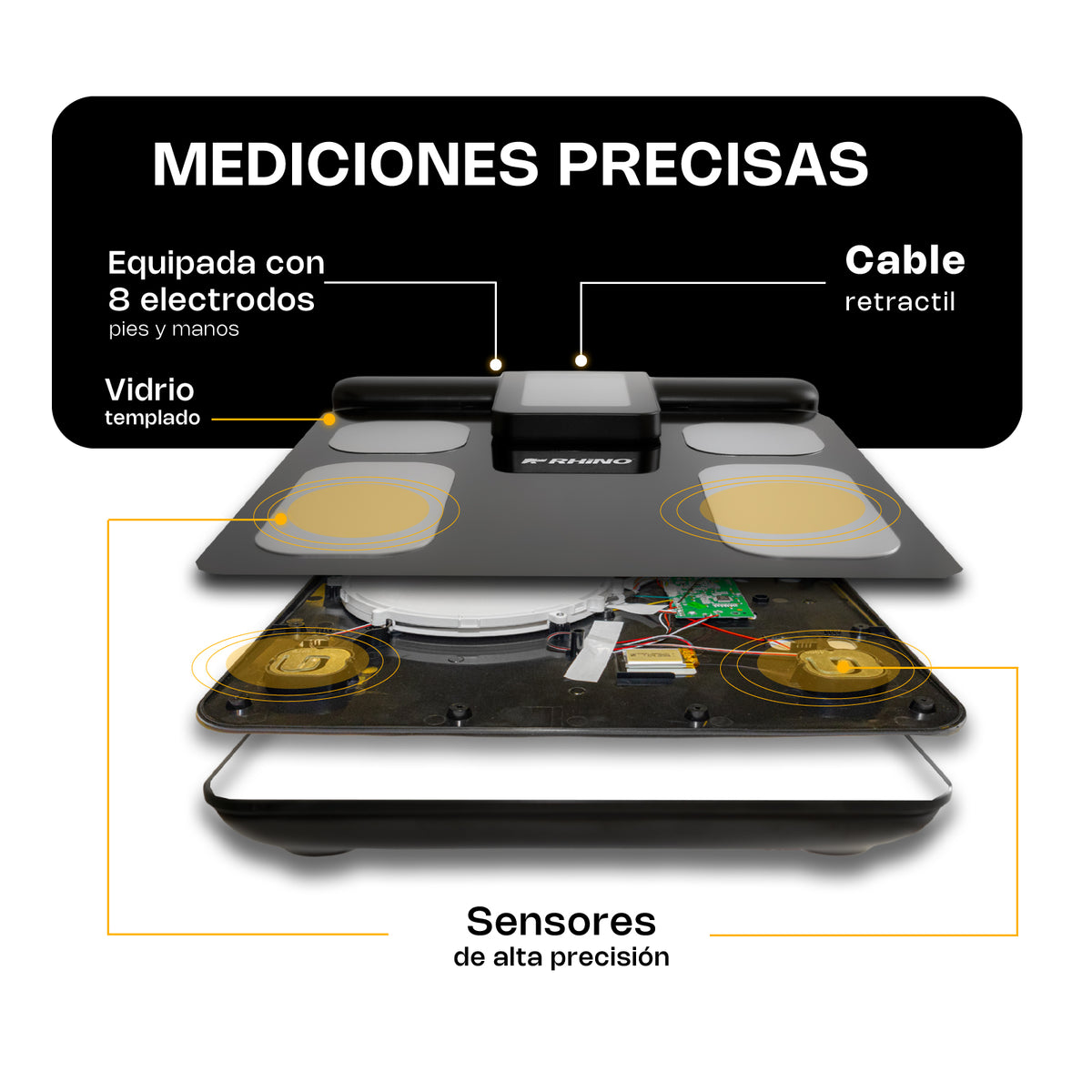 Báscula corporal 180 kg / 100 g, app incluida | Rhino | Bioma-180