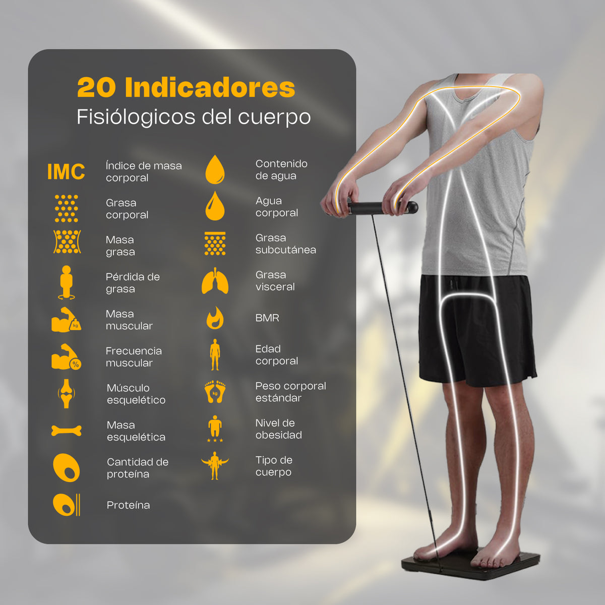 Báscula corporal 180 kg / 100 g, app incluida | Rhino | Bioma-180