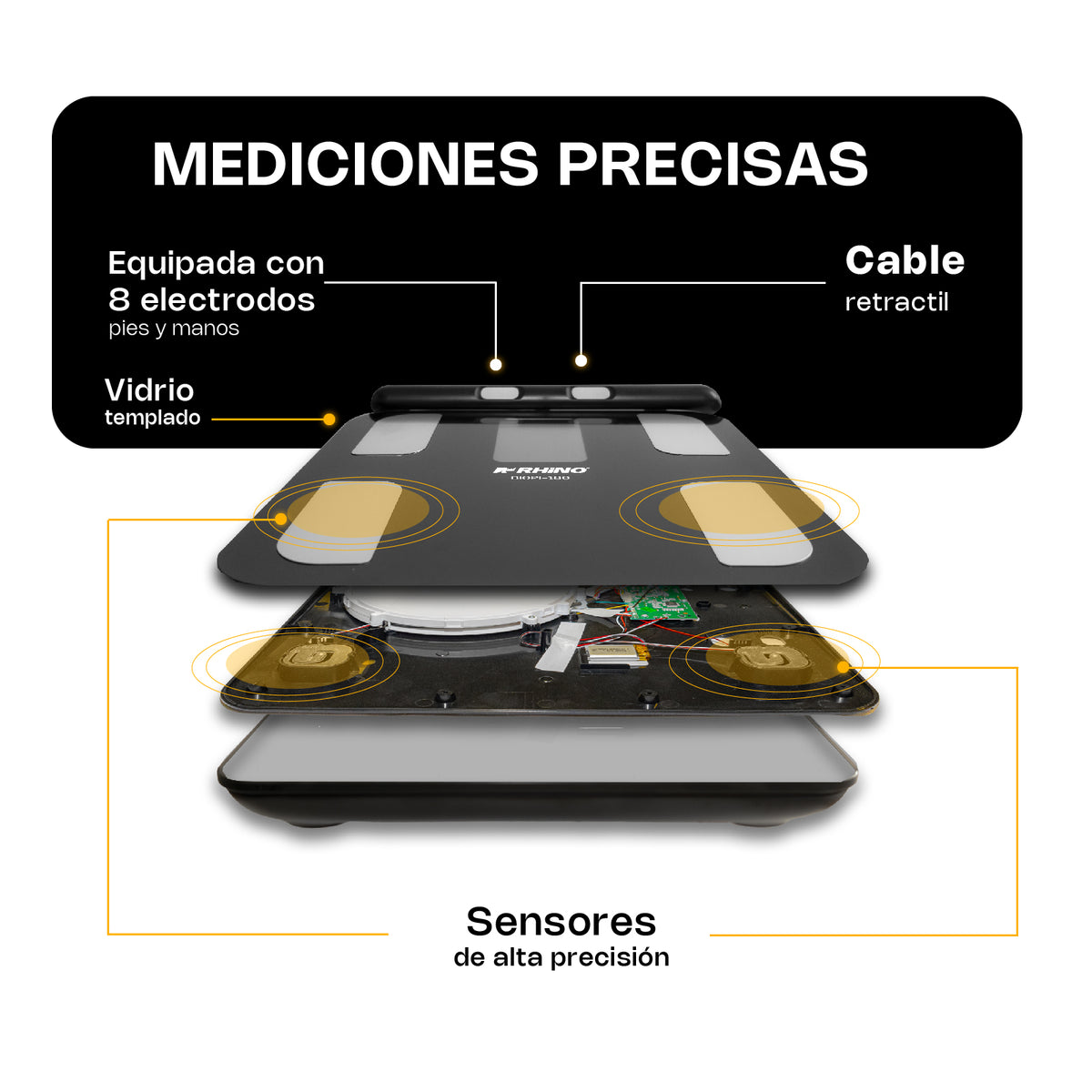 Báscula electrónica corporal 180 kg / 100 g | Rhino | Biopi-180