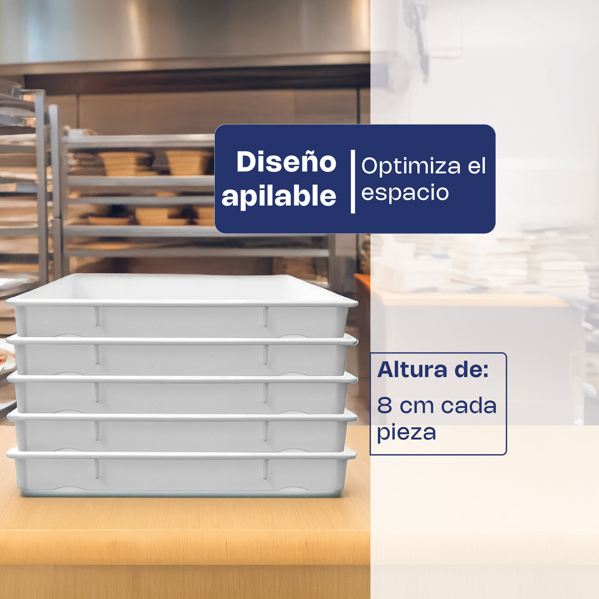 Caja de polipropileno para masa de pizza 3.1" | Rhino | Camapi-18ch
