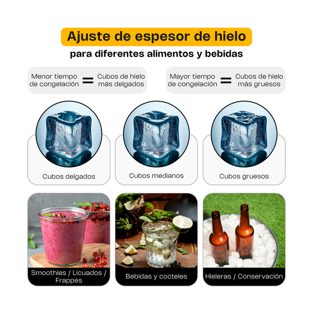 Fábrica de hielo, capacidad de producción diaria | Rhino | Fahiel-200