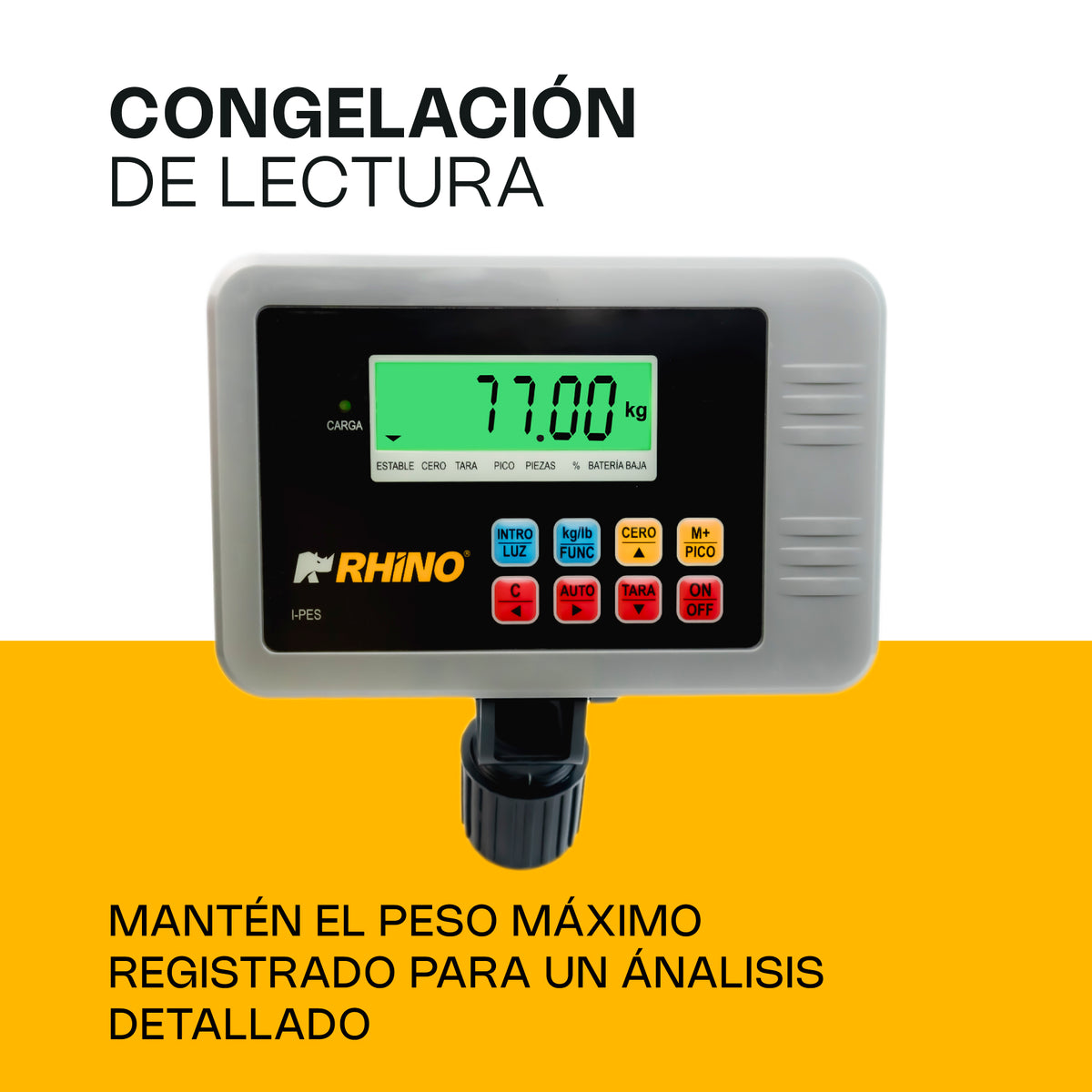 Indicador para báscula electrónica | Rhino | I-pes