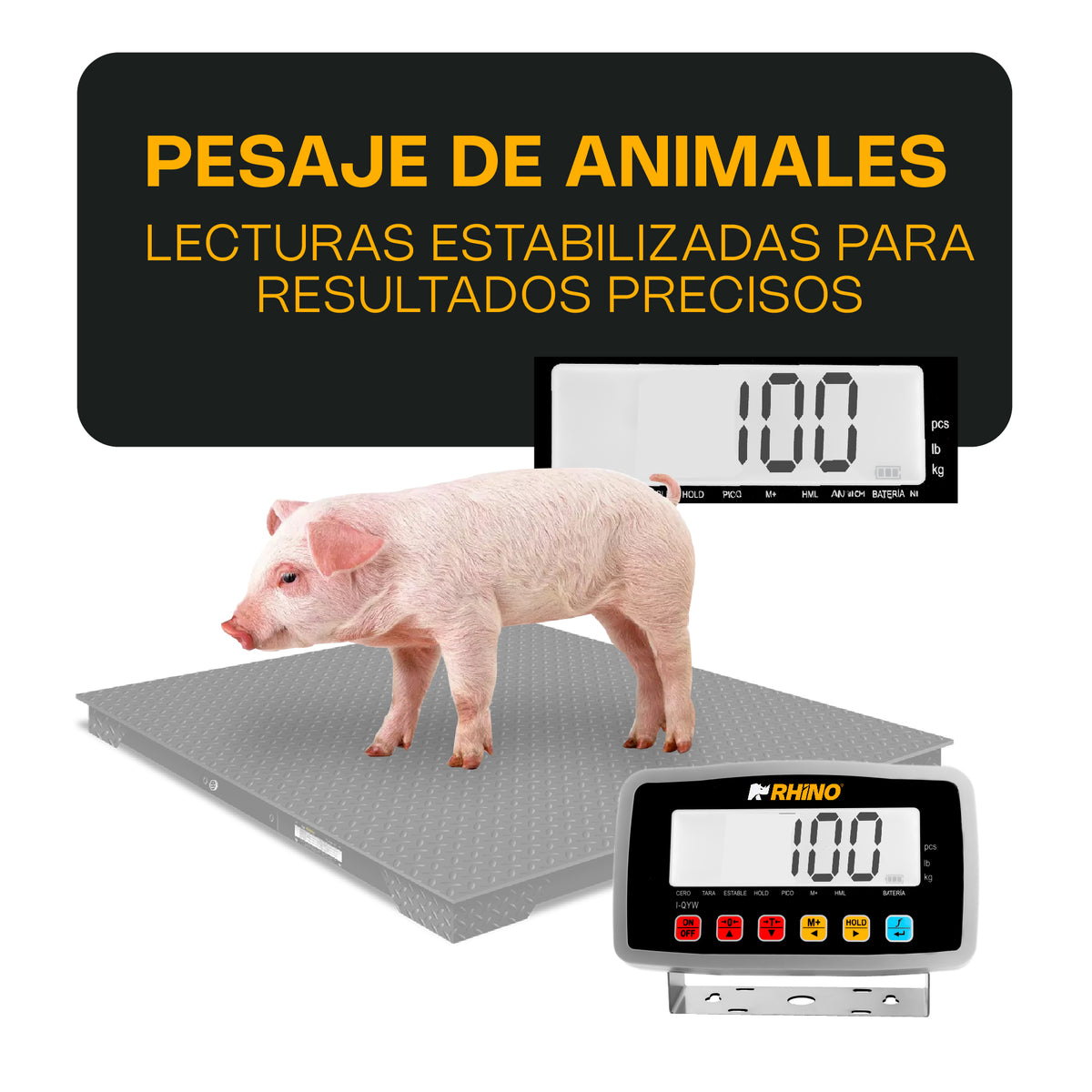 Indicador inalámbrico, alcance de 50 mts | Rhino | I-qyw
