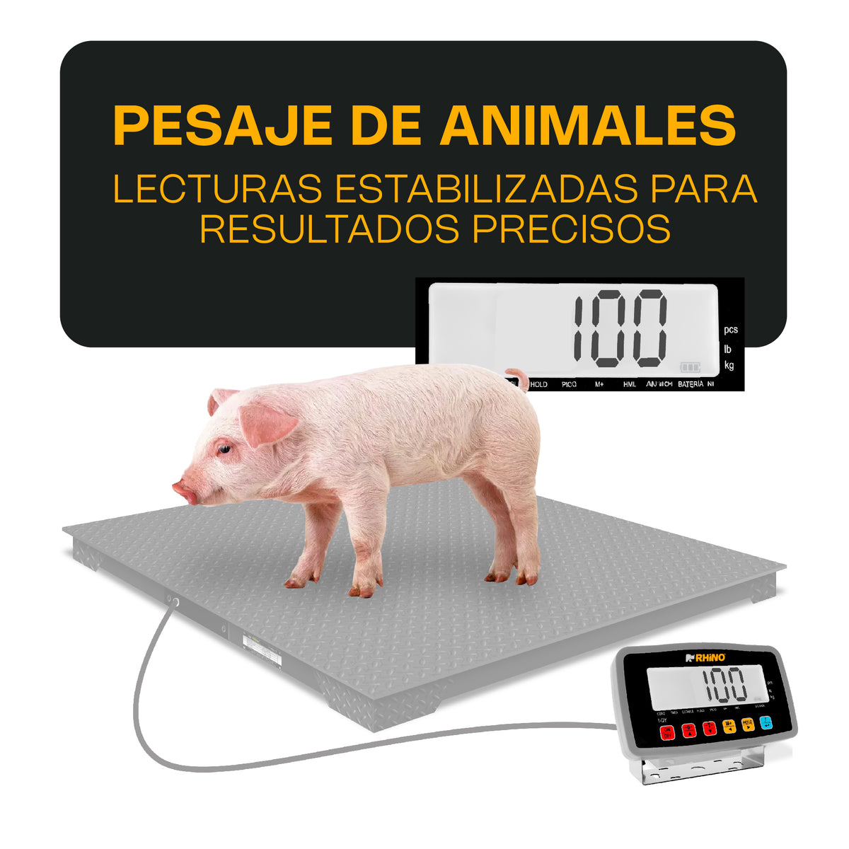 Indicador para báscula electrónica | Rhino | I-qy