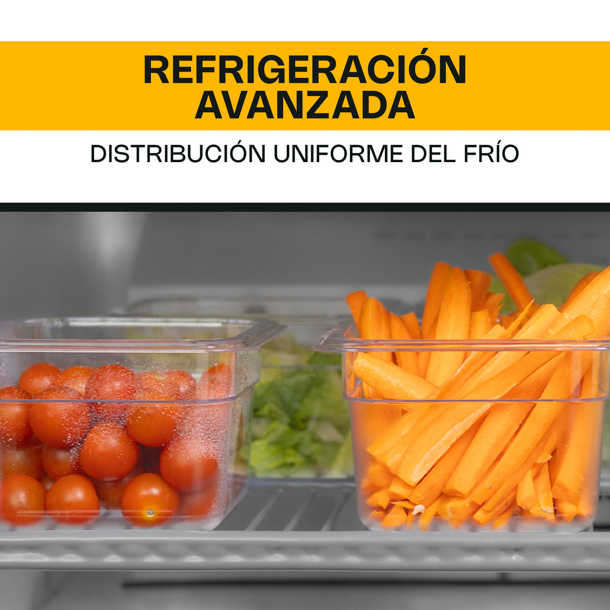 Mesa refrigerada bajo barra 6.9 pies | Rhino | Merbaj-27