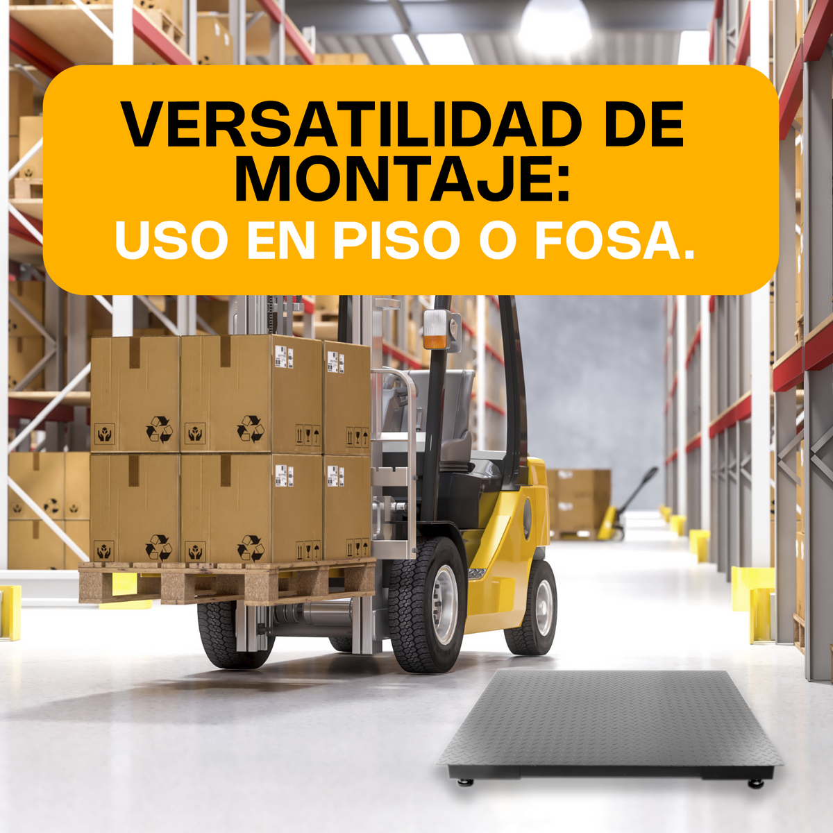 Báscula 3 ton / 500 g, plataforma acero al carbono | Rhino | Plaba-12