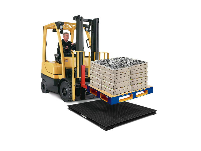 Báscula 1 ton / 500 g, plataforma acero al carbono | Rhino | Plaba-9