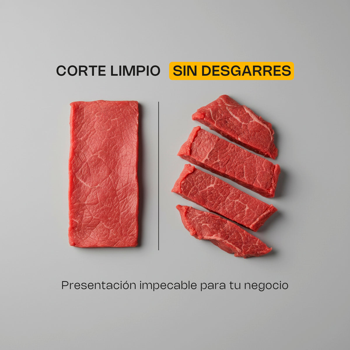 Rebanadora de engranes para carne semi congelada | Rhino | Reben-350