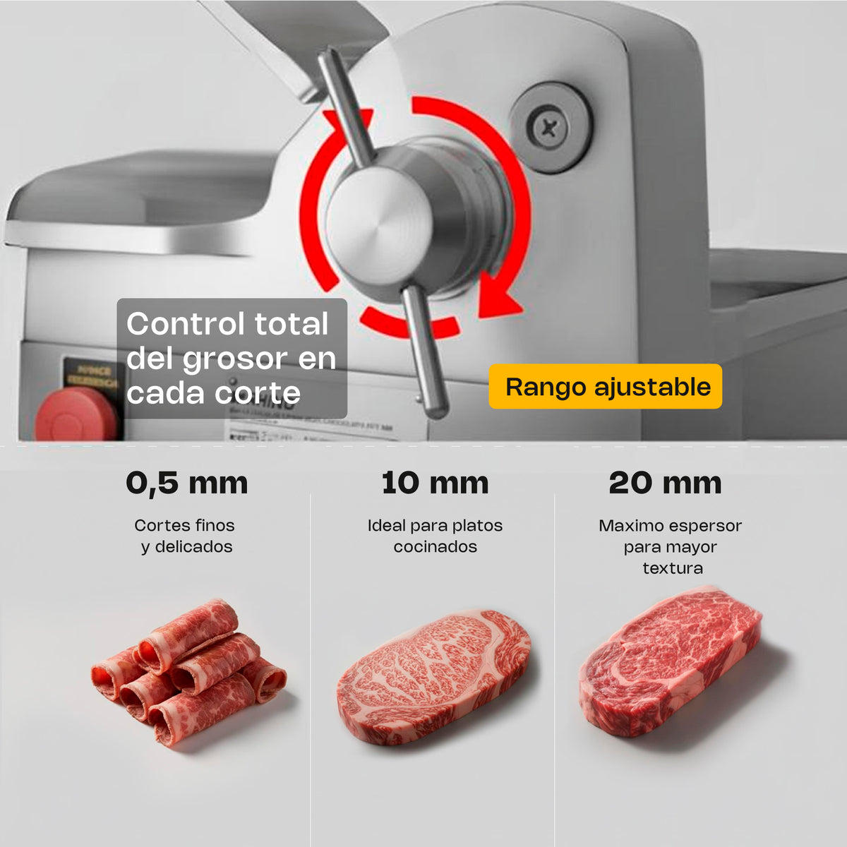 Rebanadora de engranes para carne semi congelada | Rhino | Reben-350