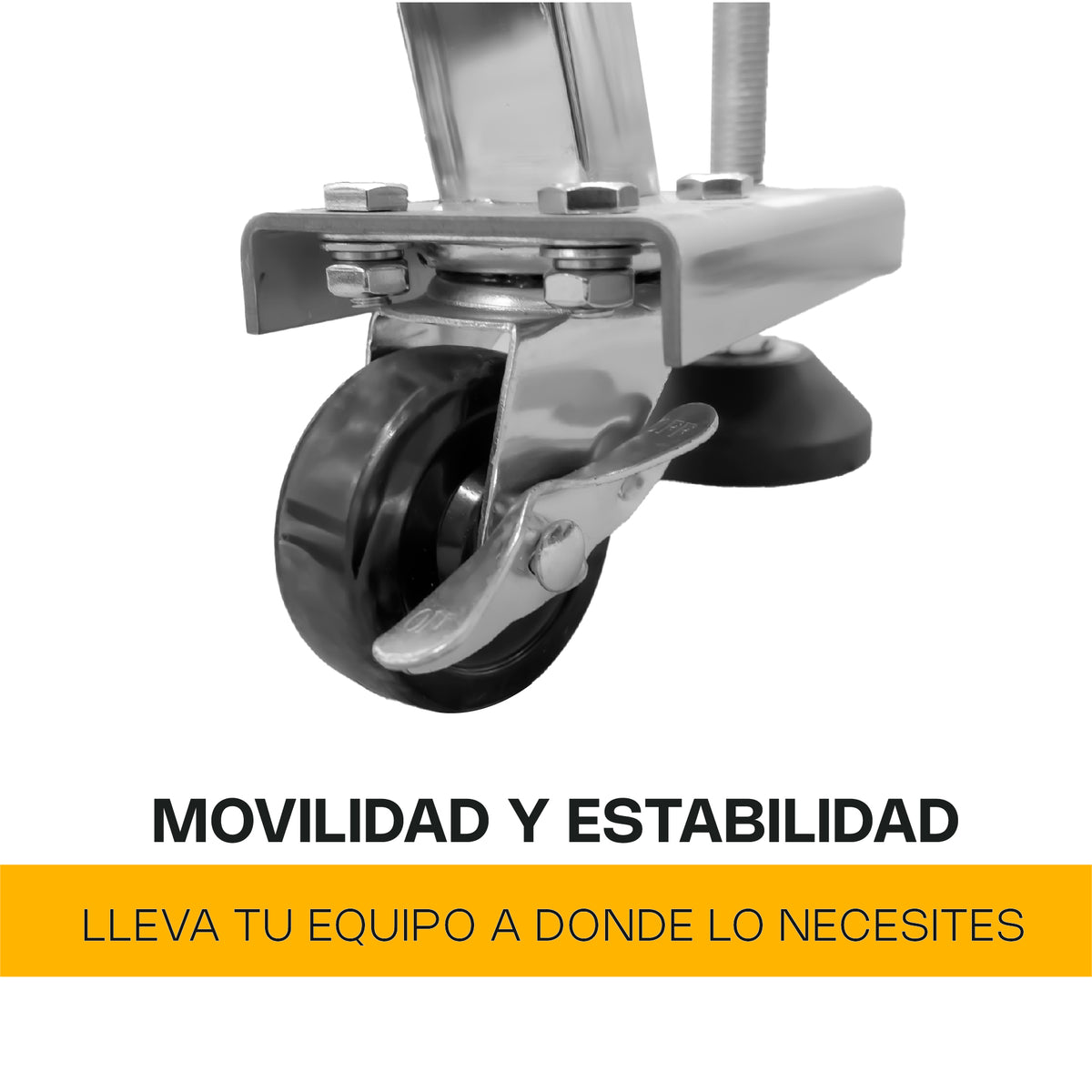 Sierra Carnicera | Mesa De Acero Inoxidable / Estructura Metálica | Cinta Sierra 222 Cm | Corte De Carne Y Hueso | Uso Comercial | SICA-222 | RHINO
