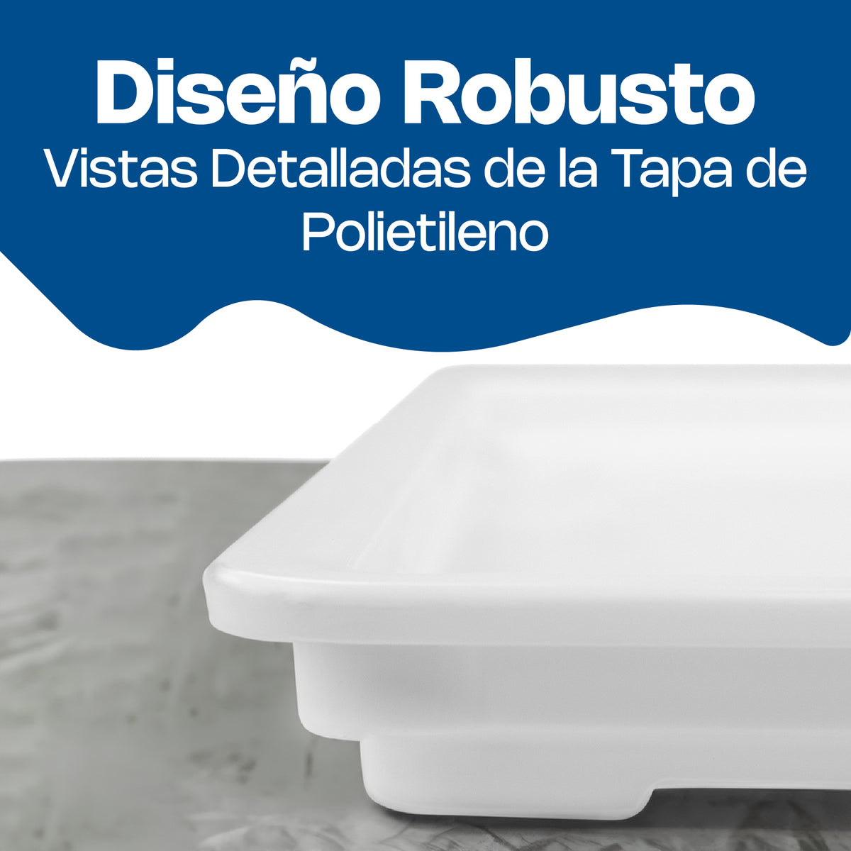 Tapa de polipropileno para caja de pizza 6" | Rhino | Tacamapi-18