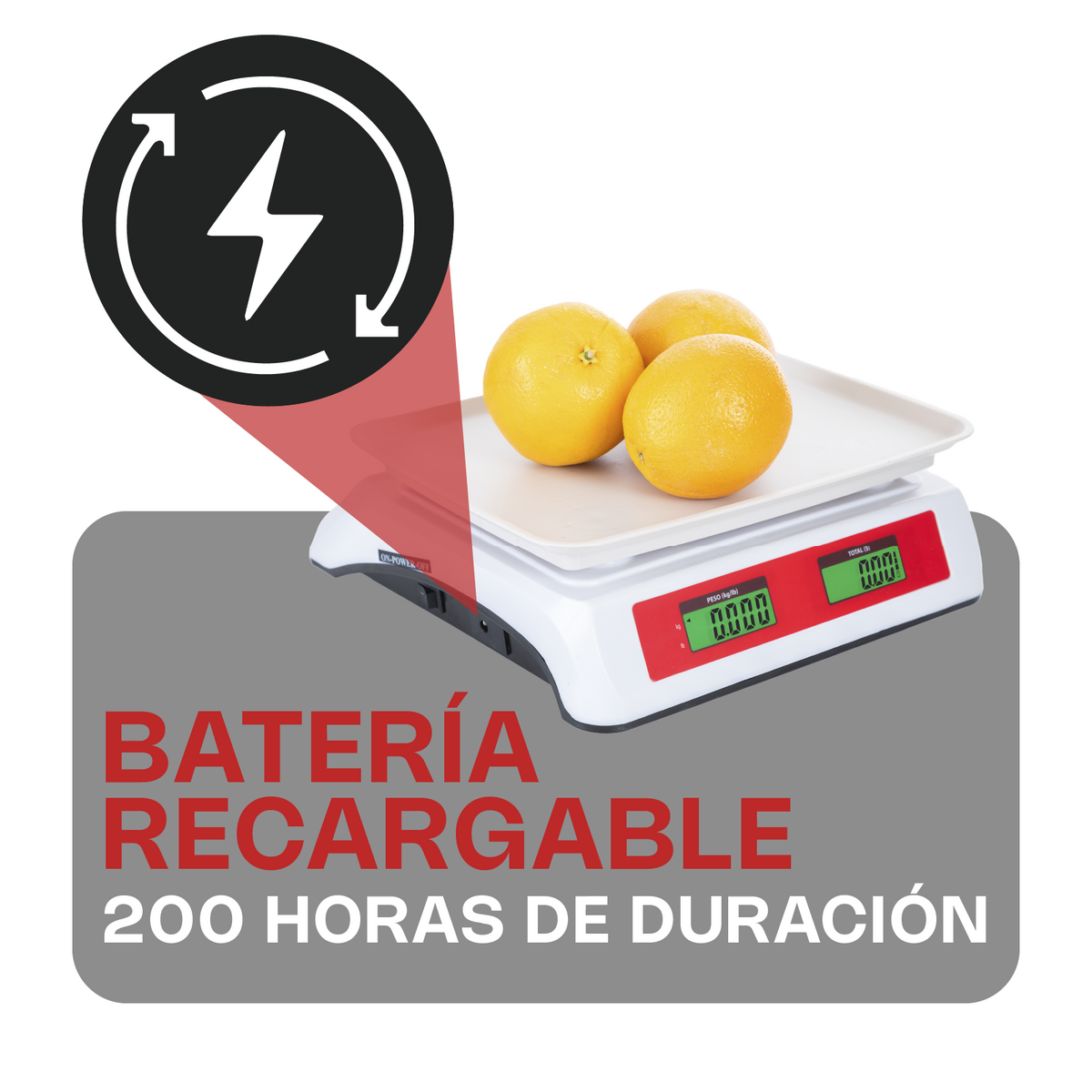 Báscula electrónica multifunciones 20 kg | Rhino | Vins-20